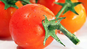 授权网站快速的网页攻击器